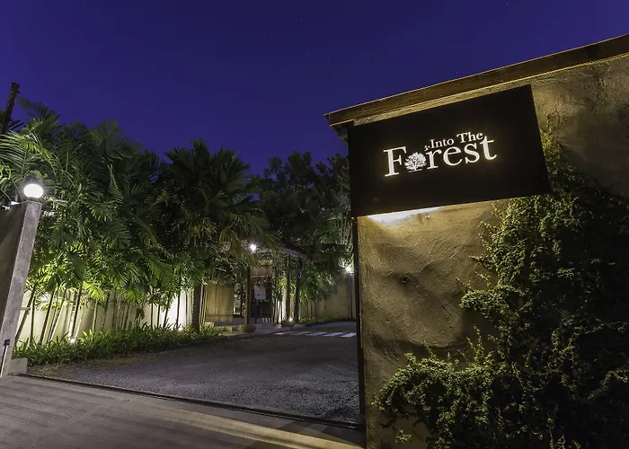 Into The Forest Hotel 3*