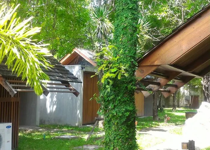 Into The Forest Hotel 3*