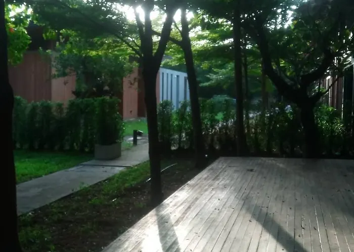 Into The Forest Hotel