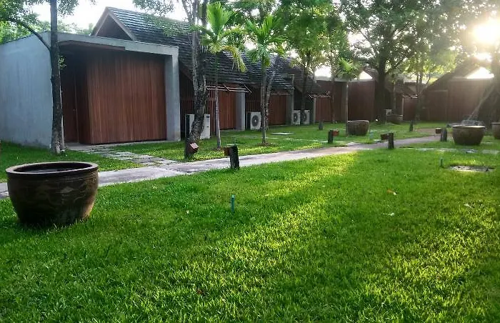 Into The Forest